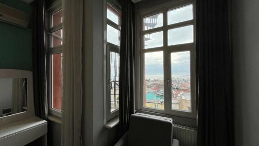 Tulip House - 36