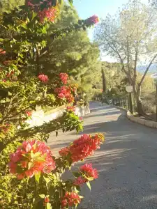 Pine Bay Holiday Resort - 59