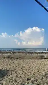 Saritas ONLY FAMILY CONCEPT - 63