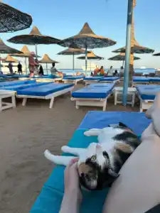 Marlin Inn Azur Resort - 69