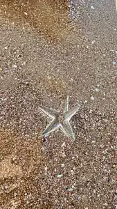 Alexia Resort & Spa - All Inclusive - 41