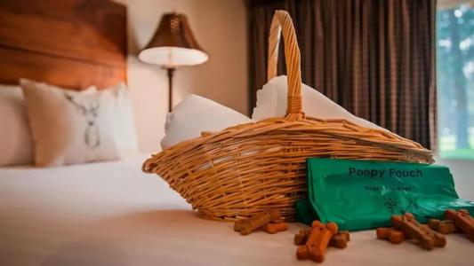 Best Western Ponderosa Lodge - 48