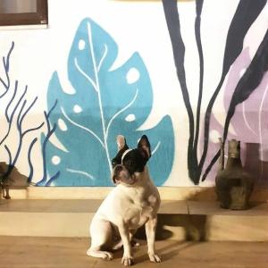 Paydos Otel Yarımada - 15