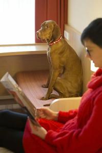 Ibis Kaunas Centre - 99