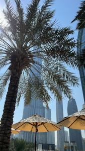 Kempinski the Boulevard Dubai - 37