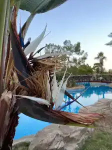 Amara Luxury Resort & Villas - 44