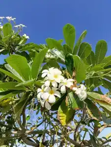 Hilton Garden Inn Ras Al Khaimah - 38