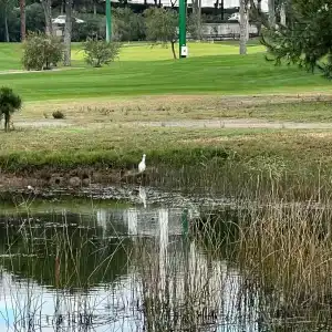 Titanic Deluxe Golf Belek - 48