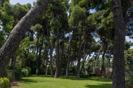 Domotel Kastri - 58