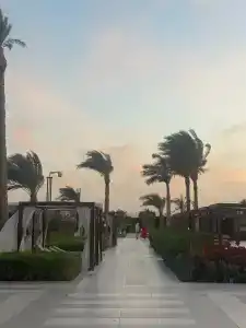 Steigenberger Resort Ras Soma - 92