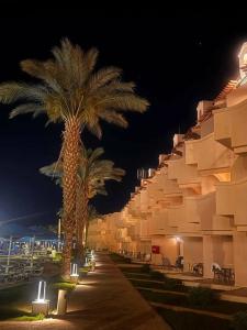 Pyramisa Beach Resort Sahl Hasheesh - 27