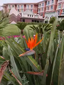 Megasaray Club Belek - 17