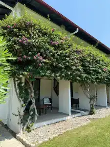 TUI BLUE Sarigerme Park - 82