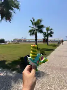 Euphoria Palm Beach Resort - 42