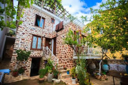 Lemon Villa - Adult Only - 10