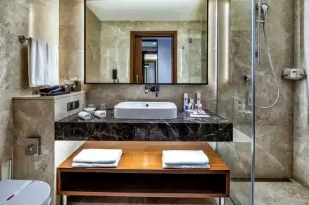 Clarion Golden Horn - 10