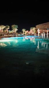 Caribbean World Resort Soma Bay - 64