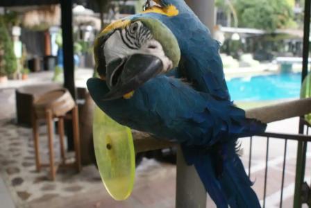 Momento Resort - 23