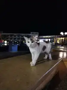 Xperience Kiroseiz AquaPark Premier-Naama Bay - 49