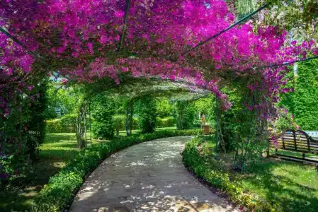 Mukarnas Spa & Resort - 20