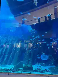 Hampton By Hilton Marjan Island - 92