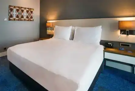 Radisson Blu, Kayseri - 85