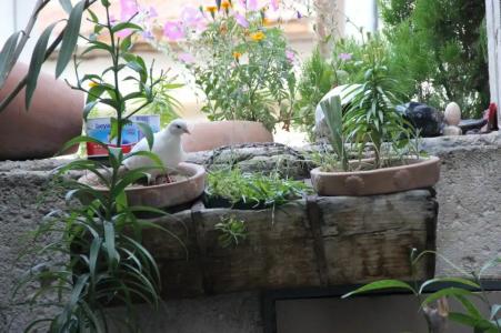 Kismet Cave House - 12