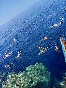 Rehana Sharm Resort - Aquapark & Spa - Couples and Family Only - 11