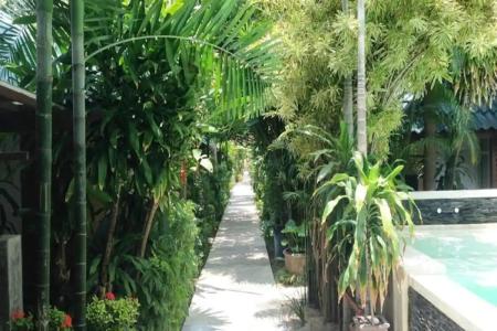 Evergreen Resort - 66