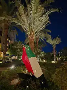 Four Seasons Resort Dubai at Jumeirah Beach - 44