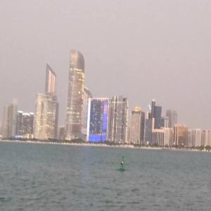  Royal Rose Abu Dhabi - 17