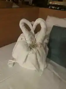 Dosinia Luxury Resort-Ultra All Inclusive - 55