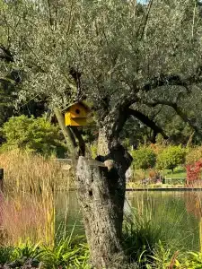 Elite World Grand Sapanca - 13