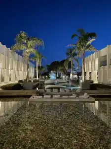 Paloma Finesse Side - 87