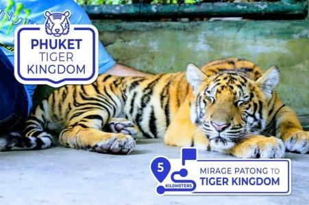 Mirage Express Patong Phuket - 15