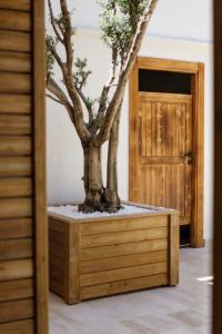 Costa Maya Bodrum - 84