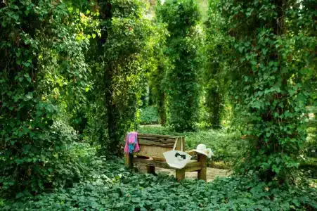 Baia Kemer Club - 79