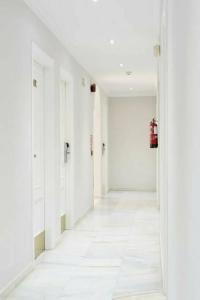 Toboso Chaparil - 13