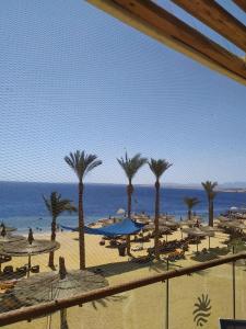 Reef Oasis Blue Bay Resort & Spa - 73