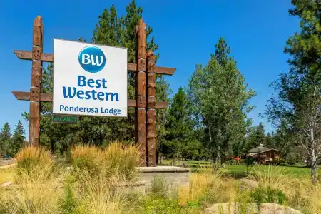 Best Western Ponderosa Lodge - 5