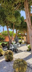 Nubian Village, Families and Couples only - 47