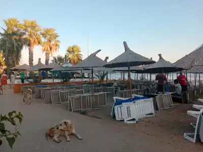 Gumbet Anil Beach - 36