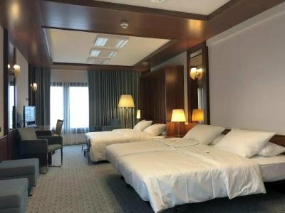 Maritim Darmstadt - 67