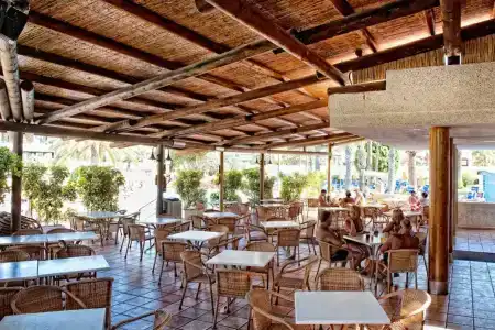 Spring Bitácora - 5