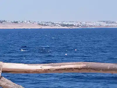 Labranda Sharm Club - 83