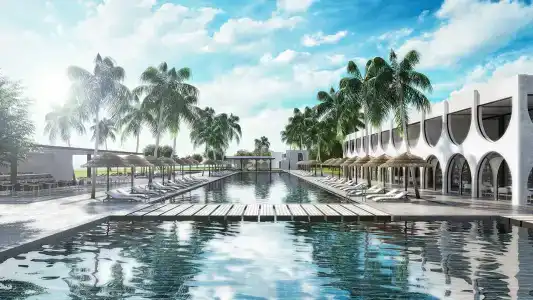 Paloma Finesse Side - 51