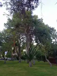 Club Marco Polo - Premium All Inclusive - 99