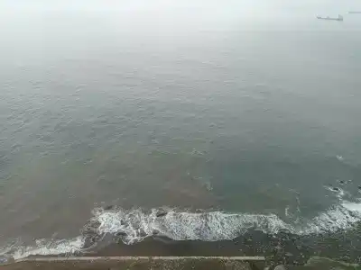 Dedeman Zonguldak - 23