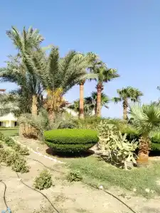 Shams Safaga Resort - 67