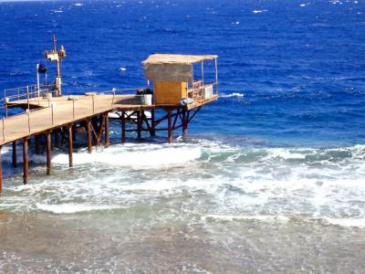 Viva Blue Resort and Diving Sharm El Naga (Adults Only) - 41